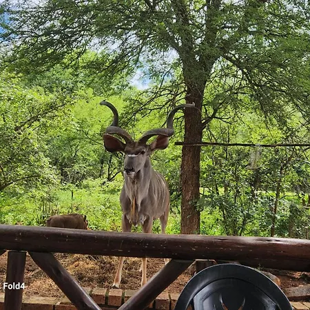 Indlovu Inn Marloth Park Exterior photo